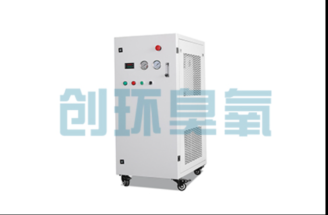 丰台工厂化养鲈必看:2026年臭氧发生器替代传统消毒的最新方案