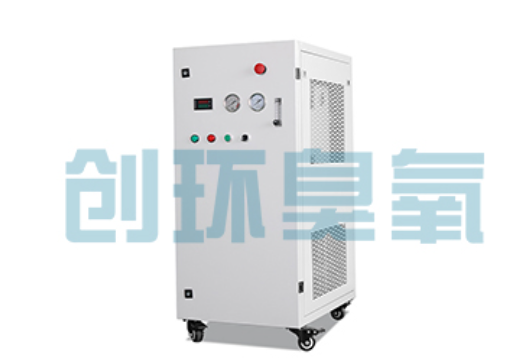丰台石斑鱼养殖水质调控完整指南:臭氧发生器配置与操作步骤