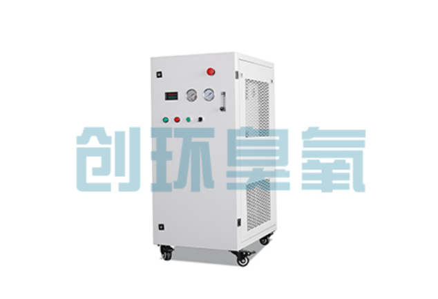 丰台2026年石斑鱼养殖新趋势:为什么高密度循环水必须配备臭氧发生器?